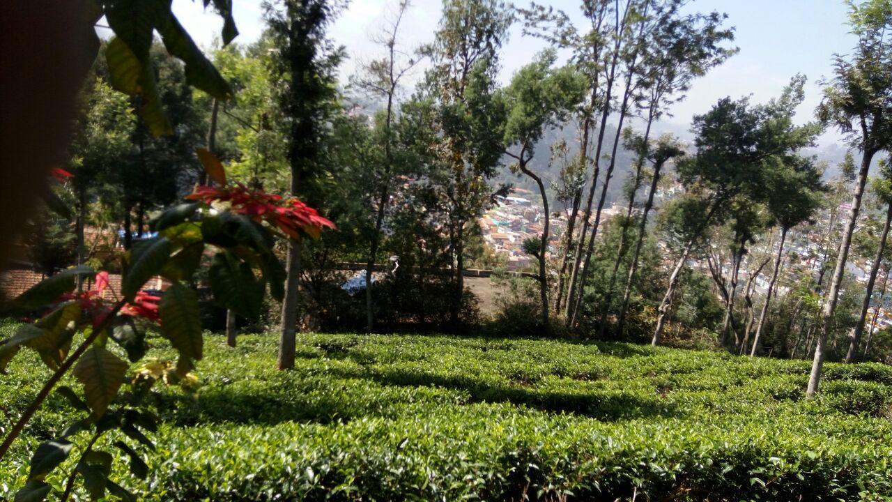 Ywca Wyoming Hotel Coonoor Bagian luar foto